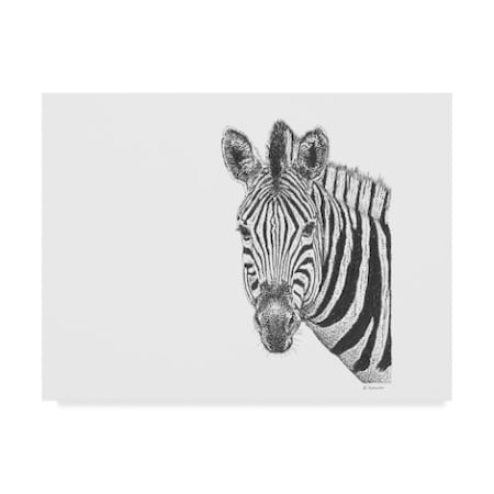 Let Your Art Soar 'Zebra Line Art' Canvas Art,24x32